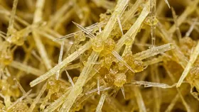 Formaldehyde binder close up