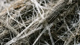 Polyester fiber matrix structure