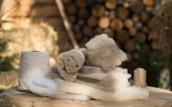 Raw Material Processing